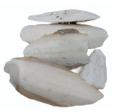 Buy Samundar Jhagh (Cuttlefish Bone) in Pakistan – Hafiz Pansar