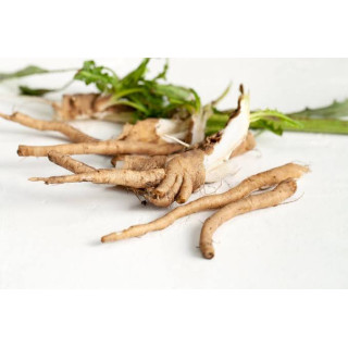 Chicory Root (Jar Kasni) – Liver & Digestion Support | Hafiz Pansar