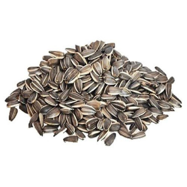 Sunflower Seeds (Suraj Mukhi)