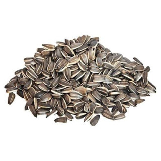 Sunflower Seeds (Suraj Mukhi)