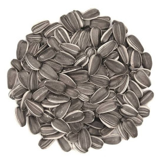 Sunflower Seeds (Suraj Mukhi)