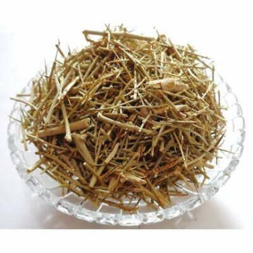 Buy Fagonia Arabica (Dhamasa Boti) in Pakistan – Hafiz Pansar