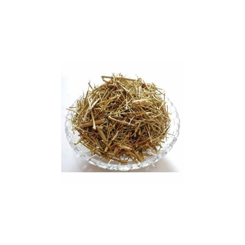Fagonia Arabica (Dhamai/Dhamasa Botti)