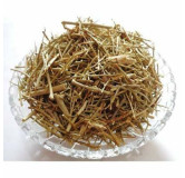 Fagonia Arabica (Dhamai/Dhamasa Botti)