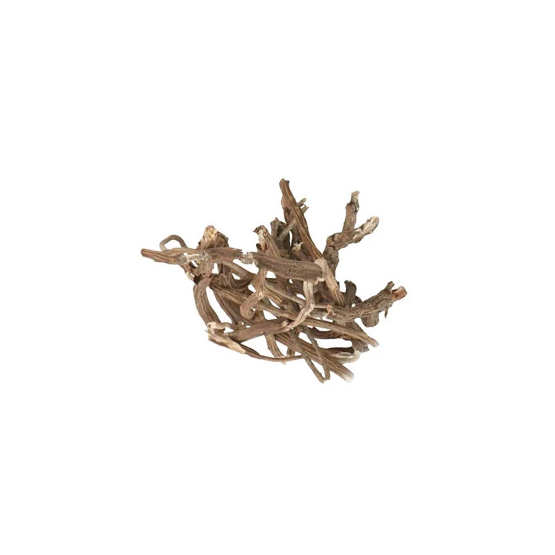 Mexican Sarsaparilla (Smilax/Ushba)