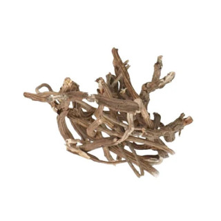 Mexican Sarsaparilla (Smilax/Ushba)