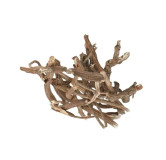 Mexican Sarsaparilla (Smilax/Ushba)