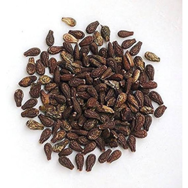 Shivlingi Seeds (Bryonia Laciniosa/Shablingi)