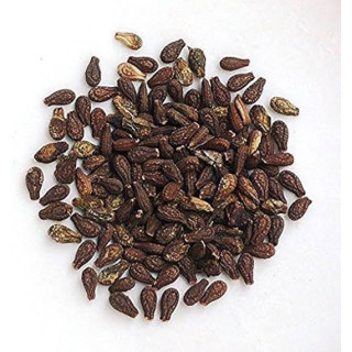 Shivlingi Seeds (Bryonia Laciniosa/Shablingi)