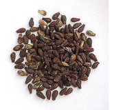 Shivlingi Seeds (Bryonia Laciniosa/Shablingi)
