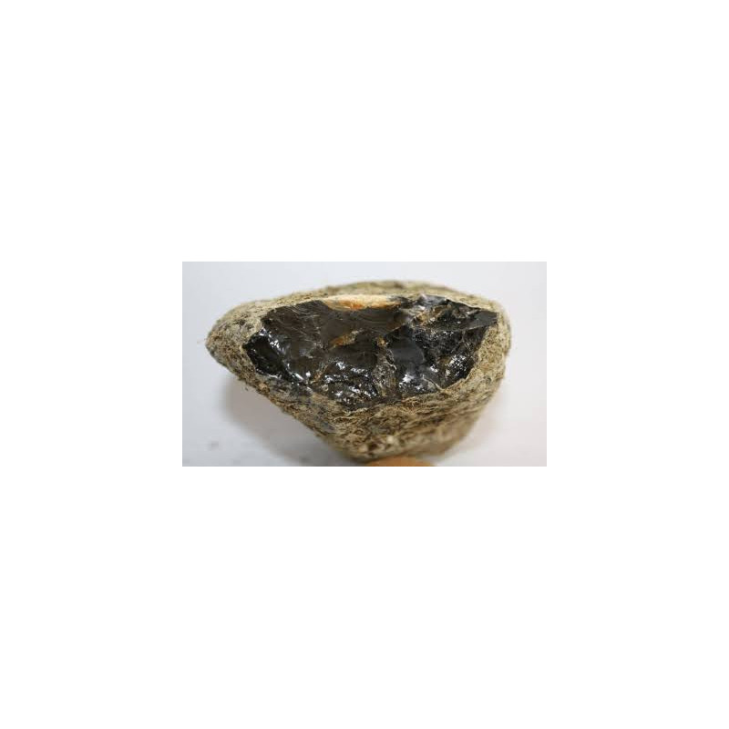 Ambergris (Amber)