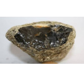 Ambergris (Amber)