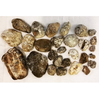 Ambergris (Amber)