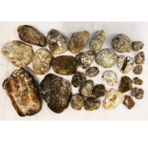 Ambergris (Amber)