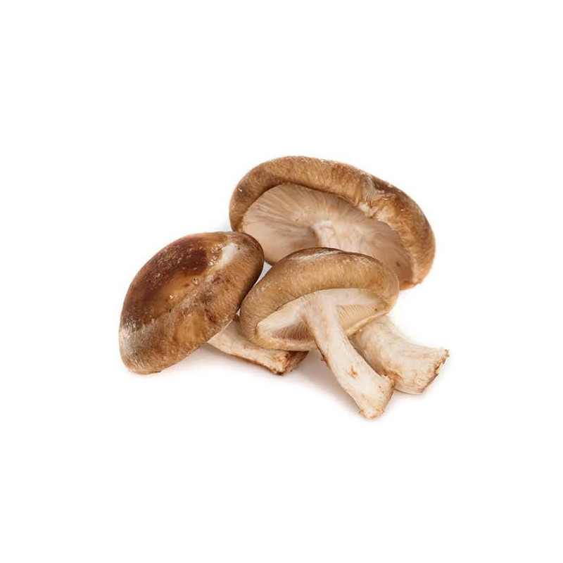 Shiitake Mushrooms (Lentinula edodes)