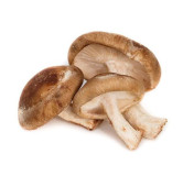 Shiitake Mushrooms (Lentinula edodes)