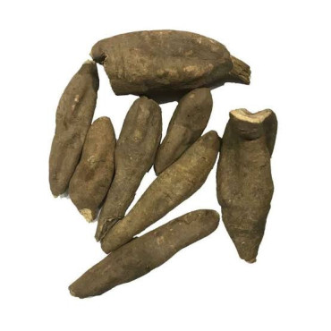 Buy Oud Saleeb (Common Peony) in Pakistan – Hafiz Pansar