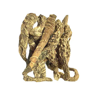 Daronaj Akarbi - Doronicum Hookeri Clarke | Herbal Strength Booster