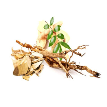 Tongkat Ali Extract in Pakistan – Eurycoma Longifolia | Hafiz Pansar