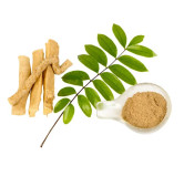 Tongkat Ali Extract in Pakistan – Eurycoma Longifolia | Hafiz Pansar