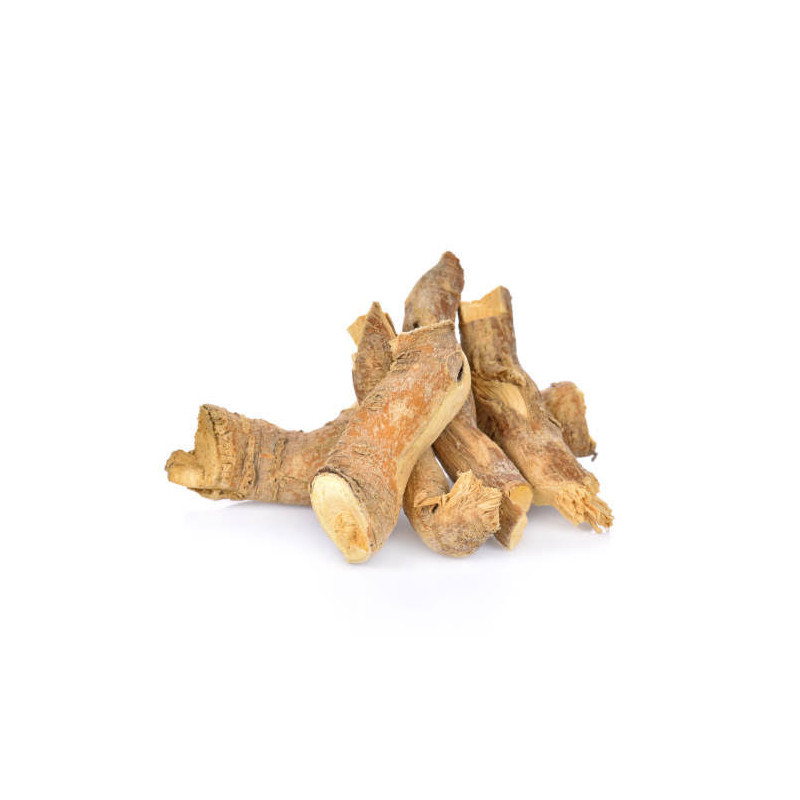 Tongkat Ali (Longjack) – Natural Strength & Energy | Hafiz Pansar