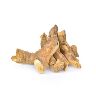 Tongkat Ali (Longjack) – Natural Strength & Energy | Hafiz Pansar