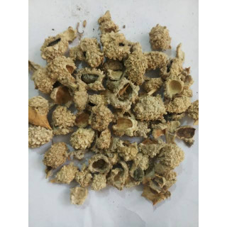 Trehala Manna (Shakar Tigal)