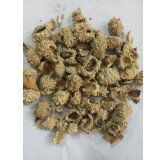 Trehala Manna (Shakar Tigal)
