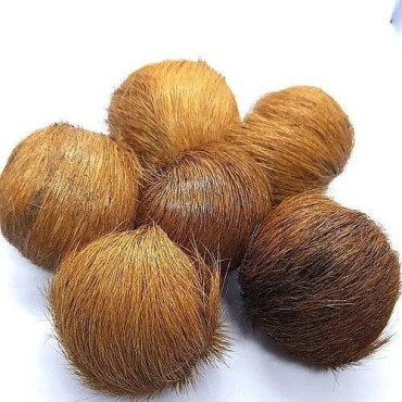 Buy Pure Deer Musk (Mushk/Kastori) in Pakistan – Hafiz Pansar