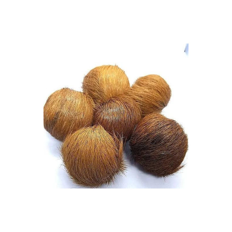 Buy Pure Deer Musk (Mushk/Kastori) in Pakistan – Hafiz Pansar