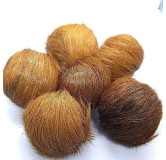 Buy Pure Deer Musk (Mushk/Kastori) in Pakistan – Hafiz Pansar