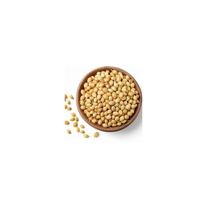 Coriander Seeds (Dhania) – Pure Dhania Seeds | Hafiz Pansar Coriander Seeds (Dhania) – Pure Dhania Seeds | Hafiz Pansar