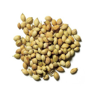 Coriander Seeds (Dhania) – Pure Dhania Seeds | Hafiz Pansar