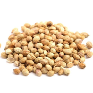Coriander Seeds (Dhania) – Pure Dhania Seeds | Hafiz Pansar