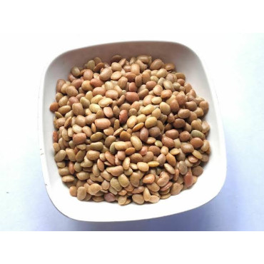 Horse Gram (Dalkulathi/Macrotyloma Uniflorum)