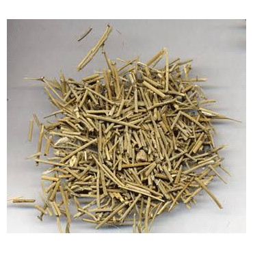 Ephedra Fragilis (Joint Pine / Soma Kalpa)