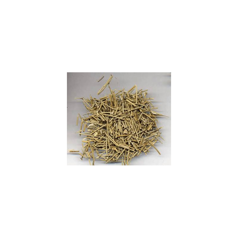 Ephedra Fragilis (Joint Pine) – Energy & Weight Loss Herb | Hafiz Pansar