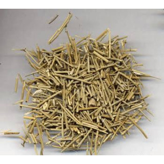 Ephedra Fragilis (Joint Pine) – Energy & Weight Loss Herb | Hafiz Pansar