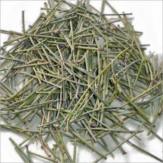 Ephedra Fragilis (Joint Pine) – Energy & Weight Loss Herb | Hafiz Pansar