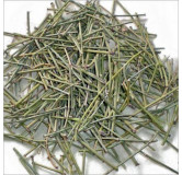Ephedra Fragilis (Joint Pine) – Energy & Weight Loss Herb | Hafiz Pansar
