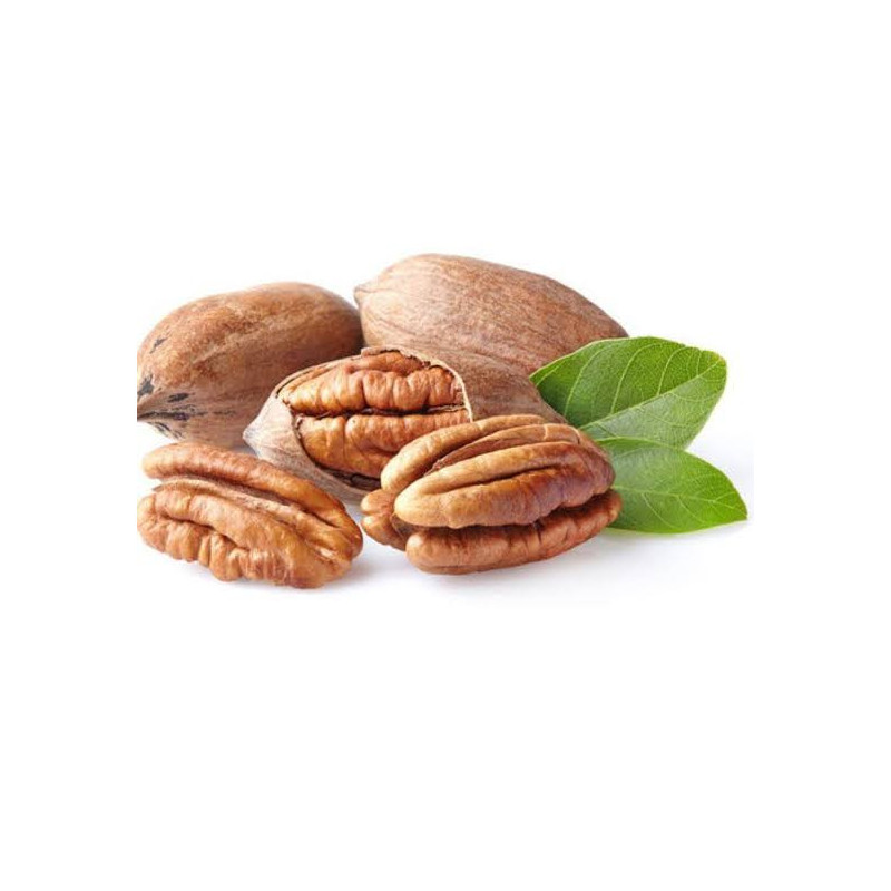 Buy Pecan Nuts in Pakistan – Premium Quality | Hafiz Pansar