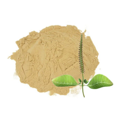 Achyranthes Aspera Extract