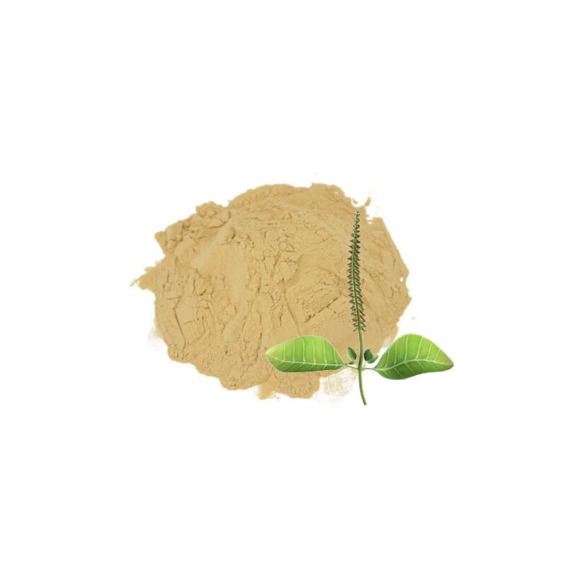 Achyranthes Aspera Extract