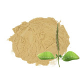 Achyranthes Aspera Extract