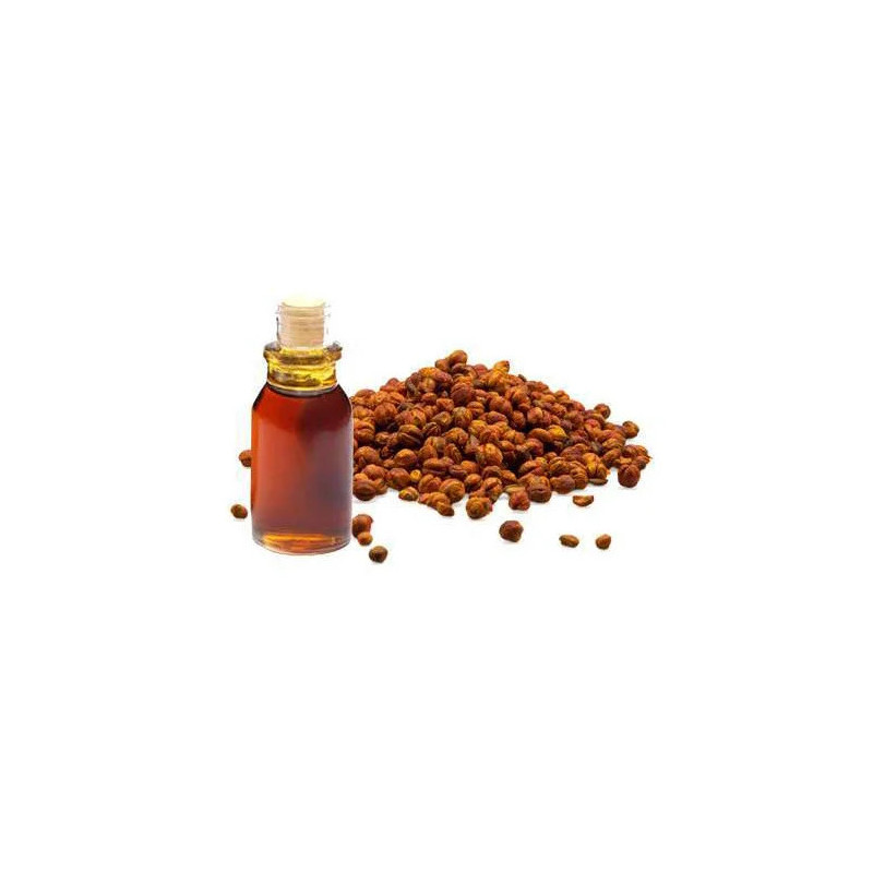 Malkangani Oil in Pakistan – Boost Memory & Brain Power | Hafiz Pansar Malkangani Oil in Pakistan – Boost Memory & Brain Power | Hafiz Pansar