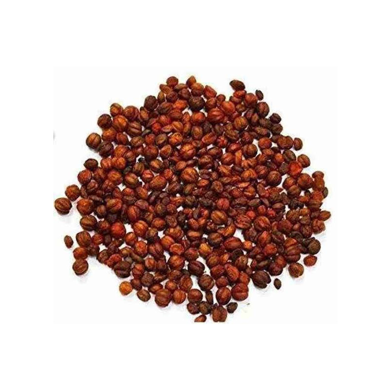 Intellect Plant Seeds (Malkangni)