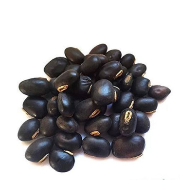 Mucuna Pruriens (Black Velvet Beans/Konch Siyah)