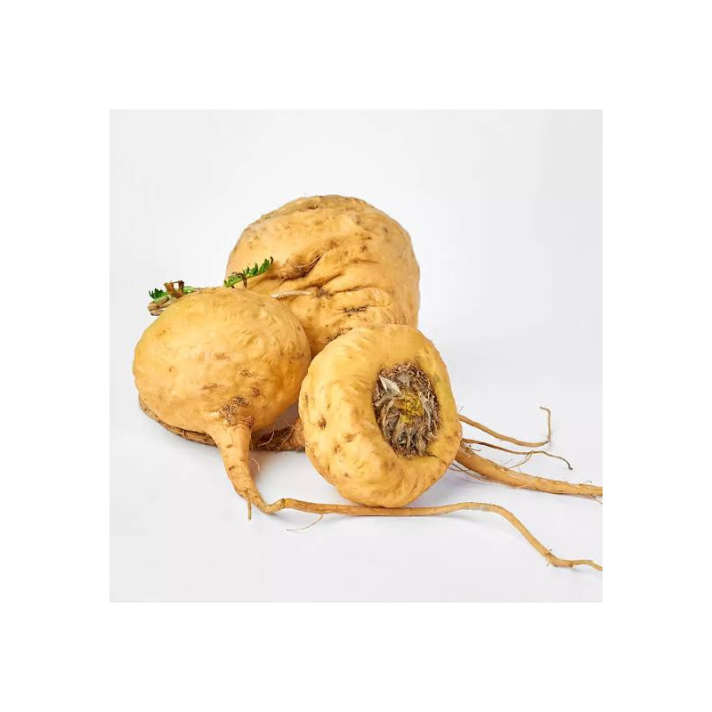 Yellow Maca Roots – Natural Energy & Hormone Support | Hafiz Pansar Pakistan