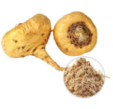 Yellow Maca Roots – Natural Energy & Hormone Support | Hafiz Pansar Pakistan