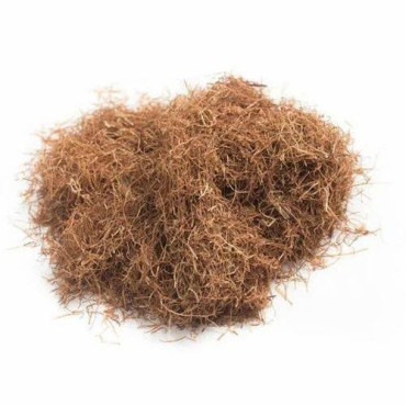 Corn Silk (Stigma Maydis)